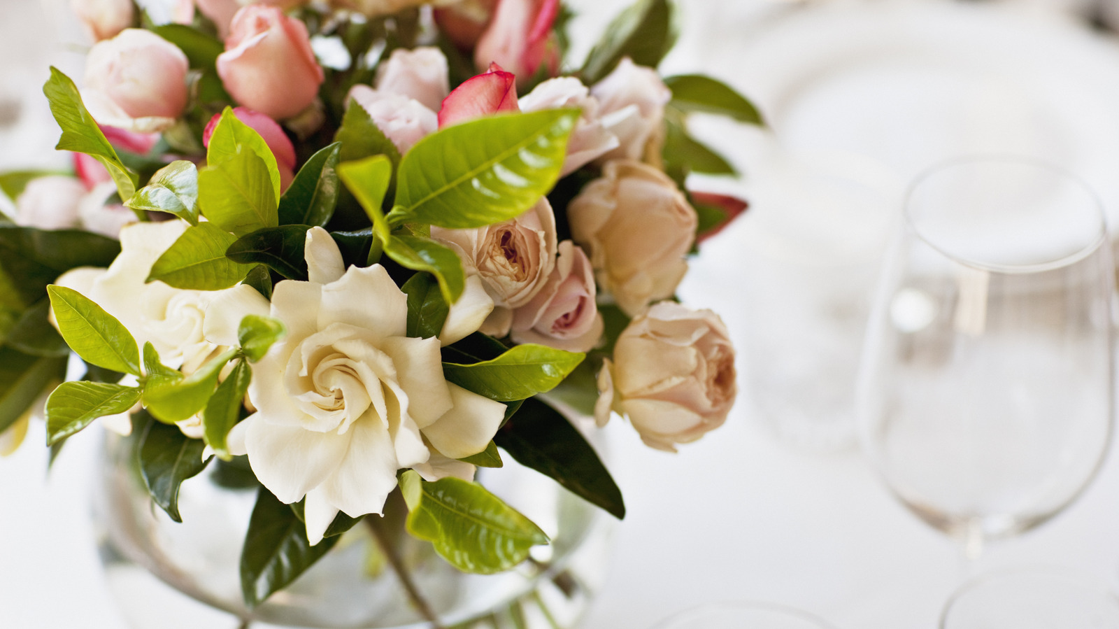 İlkbaharda Çarpıcı Dolar Ağaç Şarabı Camı Çiçek Merkez Parçası ile Çağırın