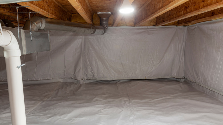 Kapsülleme işleminden sonra bitmiş tarama alanı