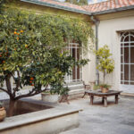 Meyve ağacı zararlılarını caydırmak için bu eski moda yöntemi hala denemeye değer, işte bu yüzden