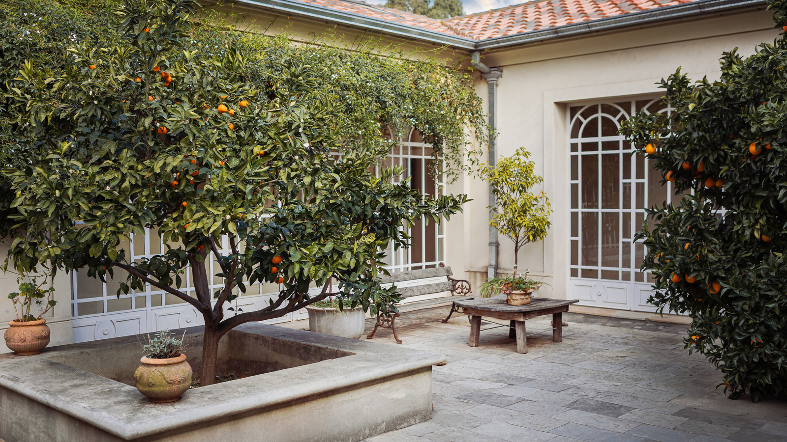 Meyve ağacı zararlılarını caydırmak için bu eski moda yöntemi hala denemeye değer, işte bu yüzden