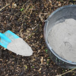 Yaban mersini için neden odun külü olarak gübre kullanmaktan kaçınmalısınız?