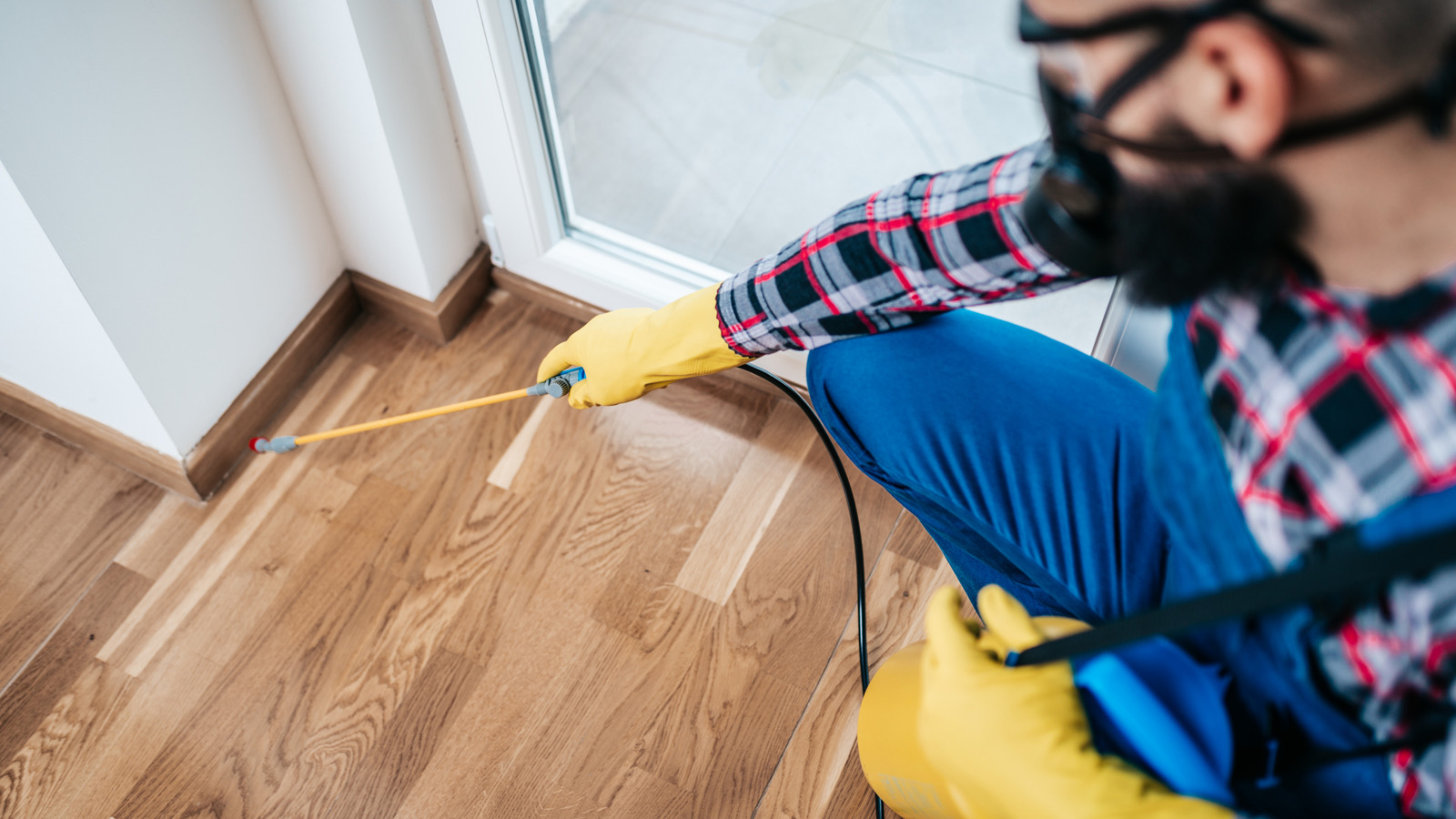 Yok edici ayrıldıktan sonra evinizi nasıl temizleyebilirsiniz?