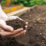 Tuvalet kağıdı tüpü hack ile toprak neminin tutulmasını düzeltin