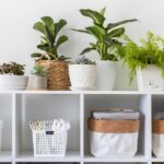 IKEA Kallax depolama kutularına 9 daha ucuz alternatifler