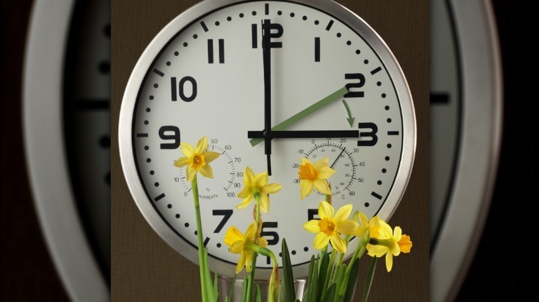 Nergis ve üç numaraya işaret eden saat elinin yakın görüntüsü.