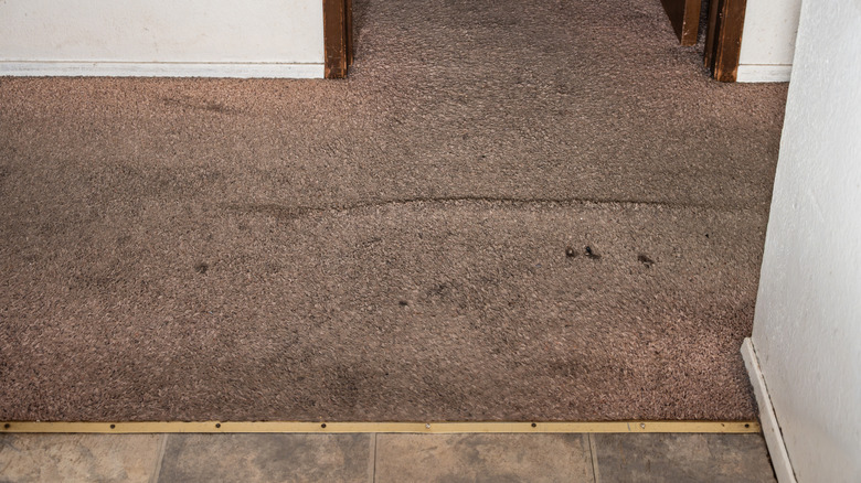 Yıpranmış, renksiz ve lekeli halı