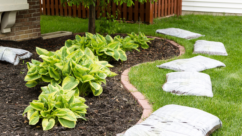 Bir avluya döşenen malç çantaları.