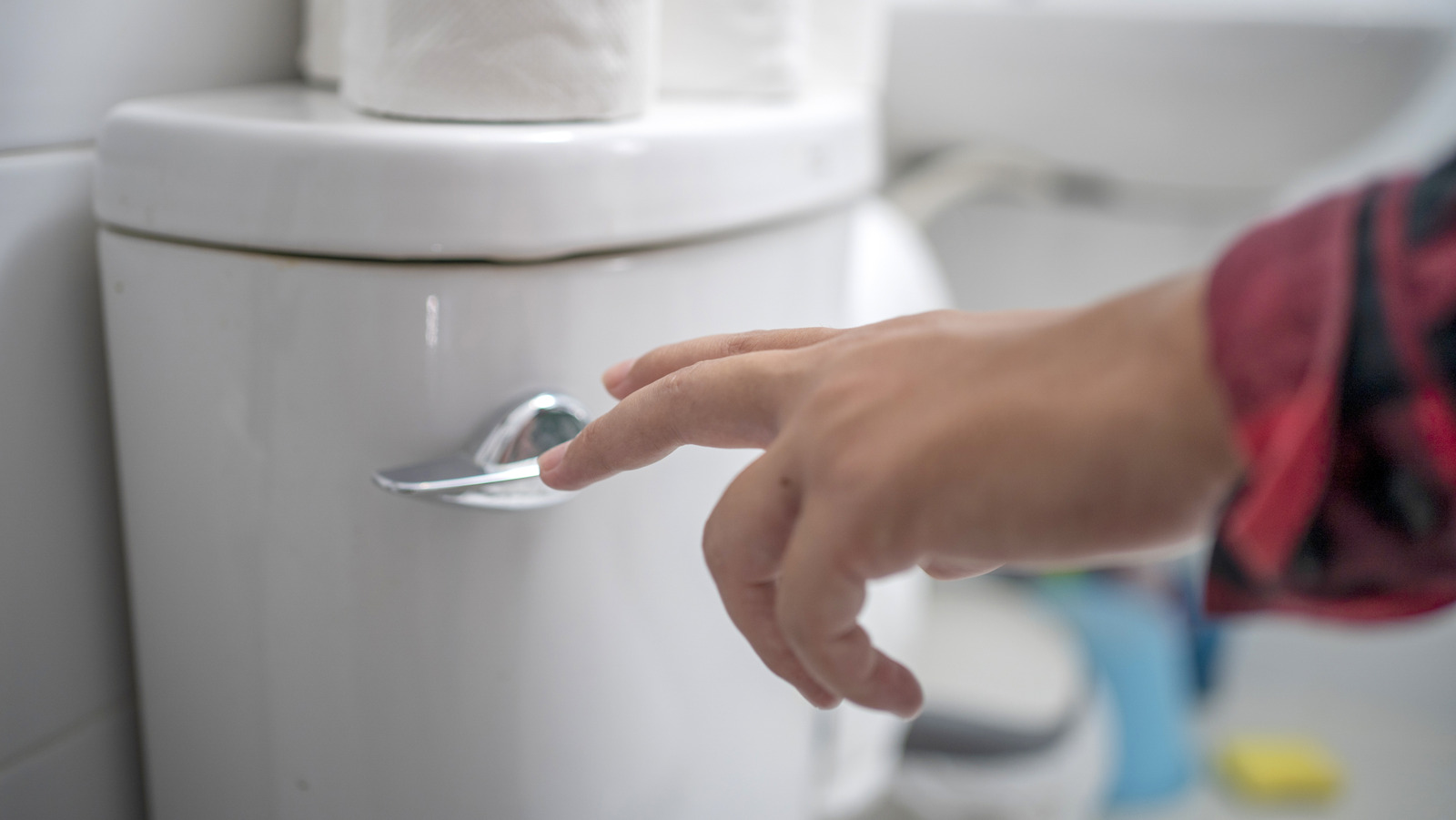 Dokuları tuvalete indirmeden önce iki kez düşünün