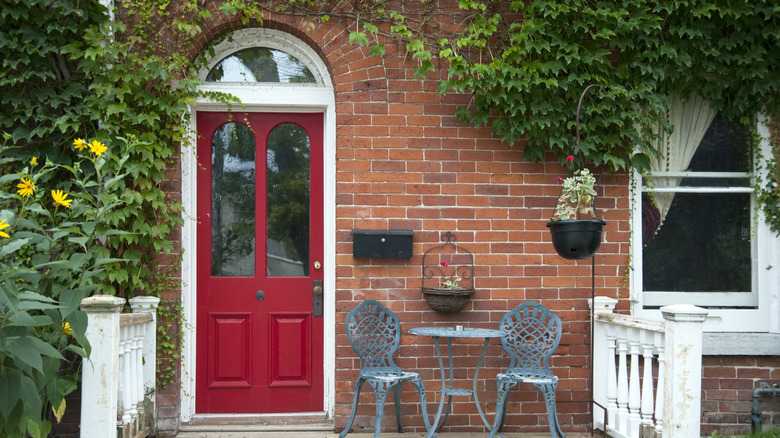 Tuğla ev önü kırmızı kapı, üzümleri kısmen kaplıyor