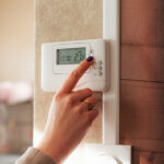 Evinize tırmanma sarmaşıkları eklemek enerji faturanızı düşürebilir mi?