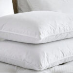 Yaygın toksinleri önlemek için yastıklar hakkında bilgi sahibi olmak için kırmızı bayraklar