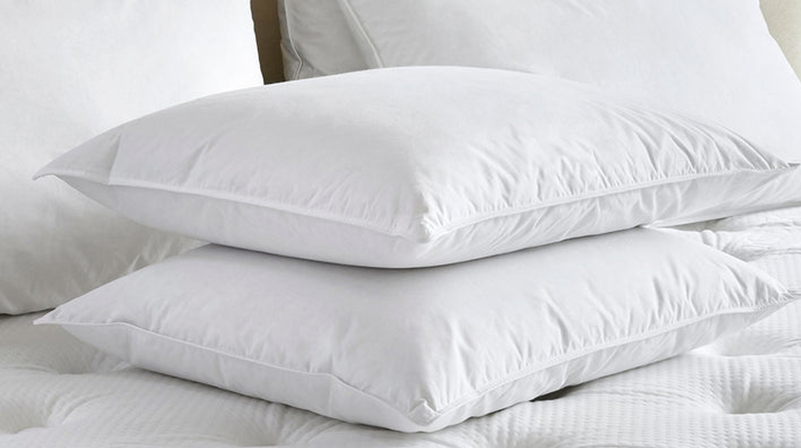 Yaygın toksinleri önlemek için yastıklar hakkında bilgi sahibi olmak için kırmızı bayraklar