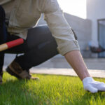 Çim bakım hizmeti uzun vadede paraya değer mi?