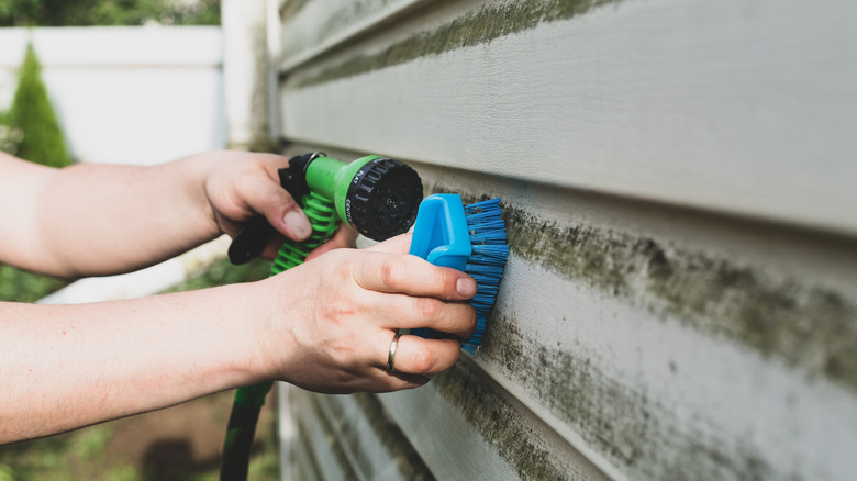 Evin Siding'den yosun çıkarmak için bir sünger ve hortum kullanma