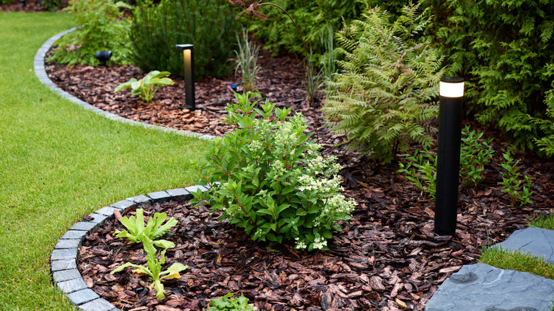 Peyzaj aydınlatması olan bir bahçede malç