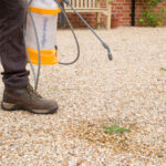 Çakıl için ön remergent yabani ot spreyi uygulayabilir misiniz?