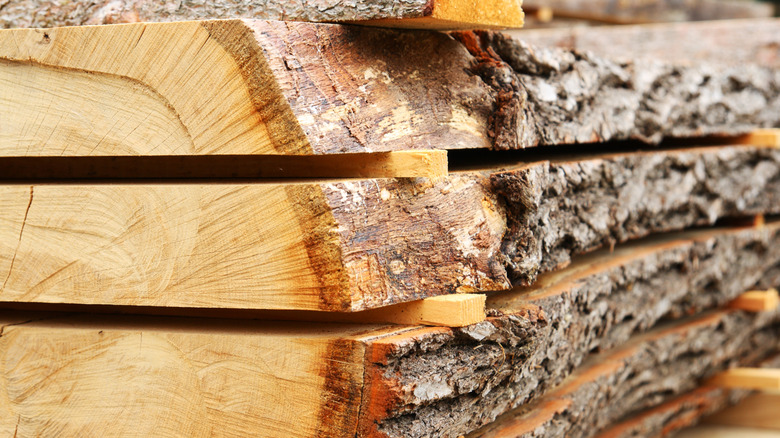 Ahşap tahtalar uygun şekilde kurutulur.