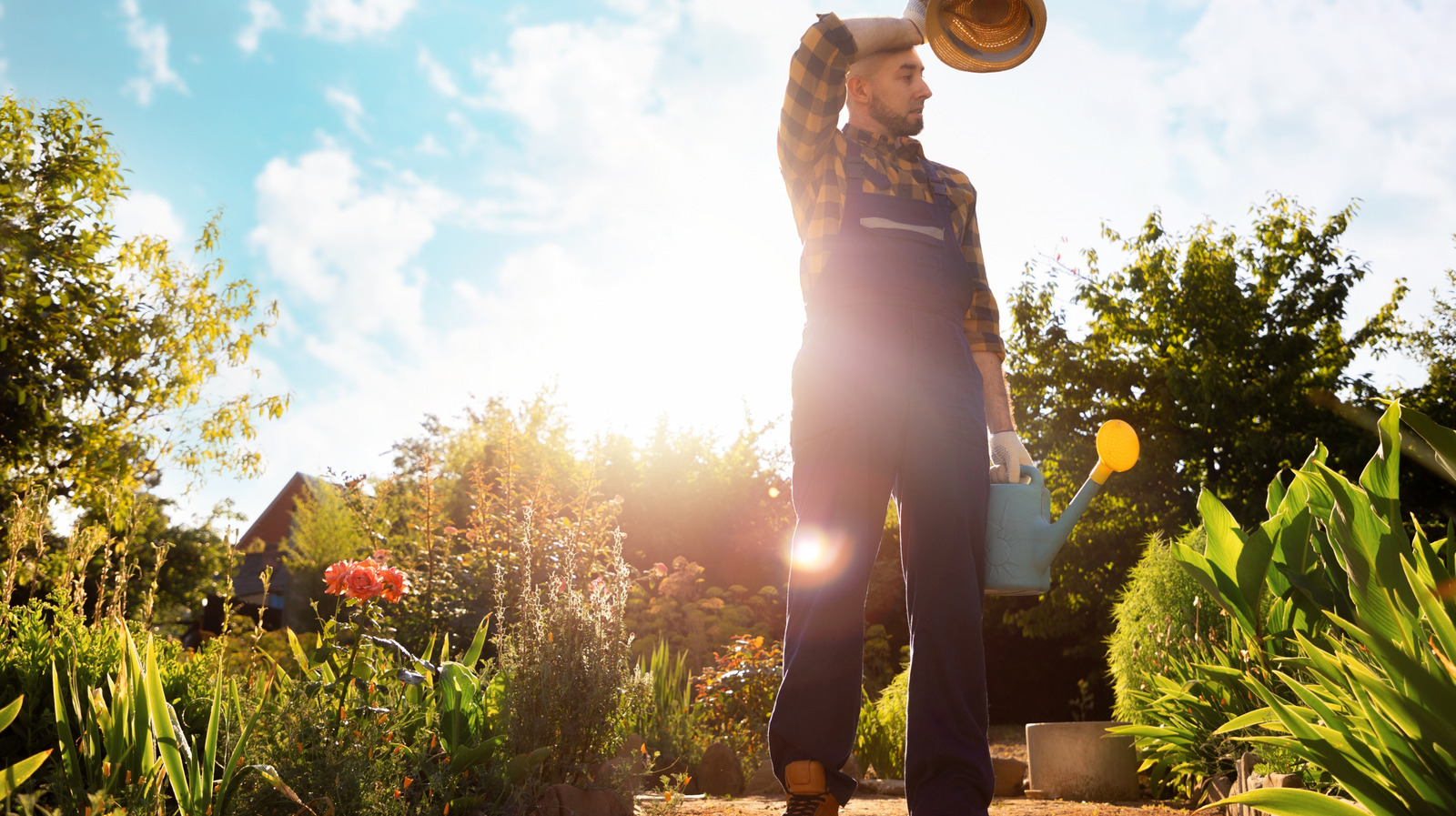 Gizlilik katan ancak aslında bahçenizi ısıtabilen tasarım özelliği