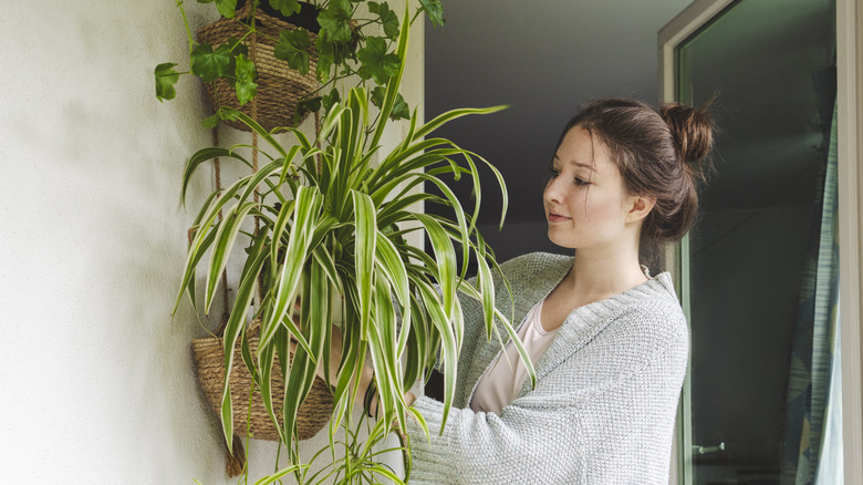 Dışarıda örümcek bitkileri asılı kadın