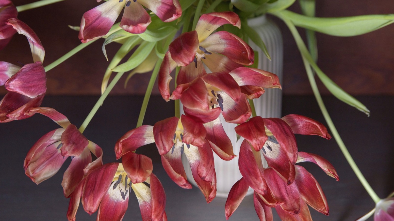 Kesik bir bahçe için büyümeye değer olmayabilecek 12 popüler çiçek