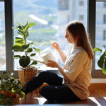 Windows için 11 mükemmel bitki raf fikri