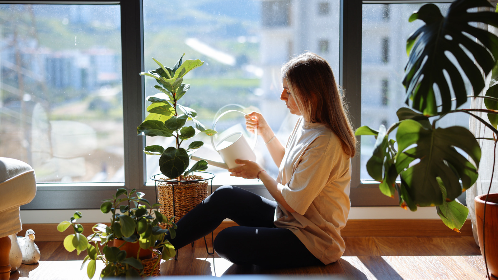 Windows için 11 mükemmel bitki raf fikri