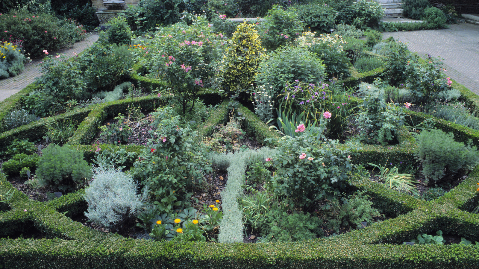 Düğüm bahçeleri şu anda modaya uygun ve görünüşü alabilirsiniz