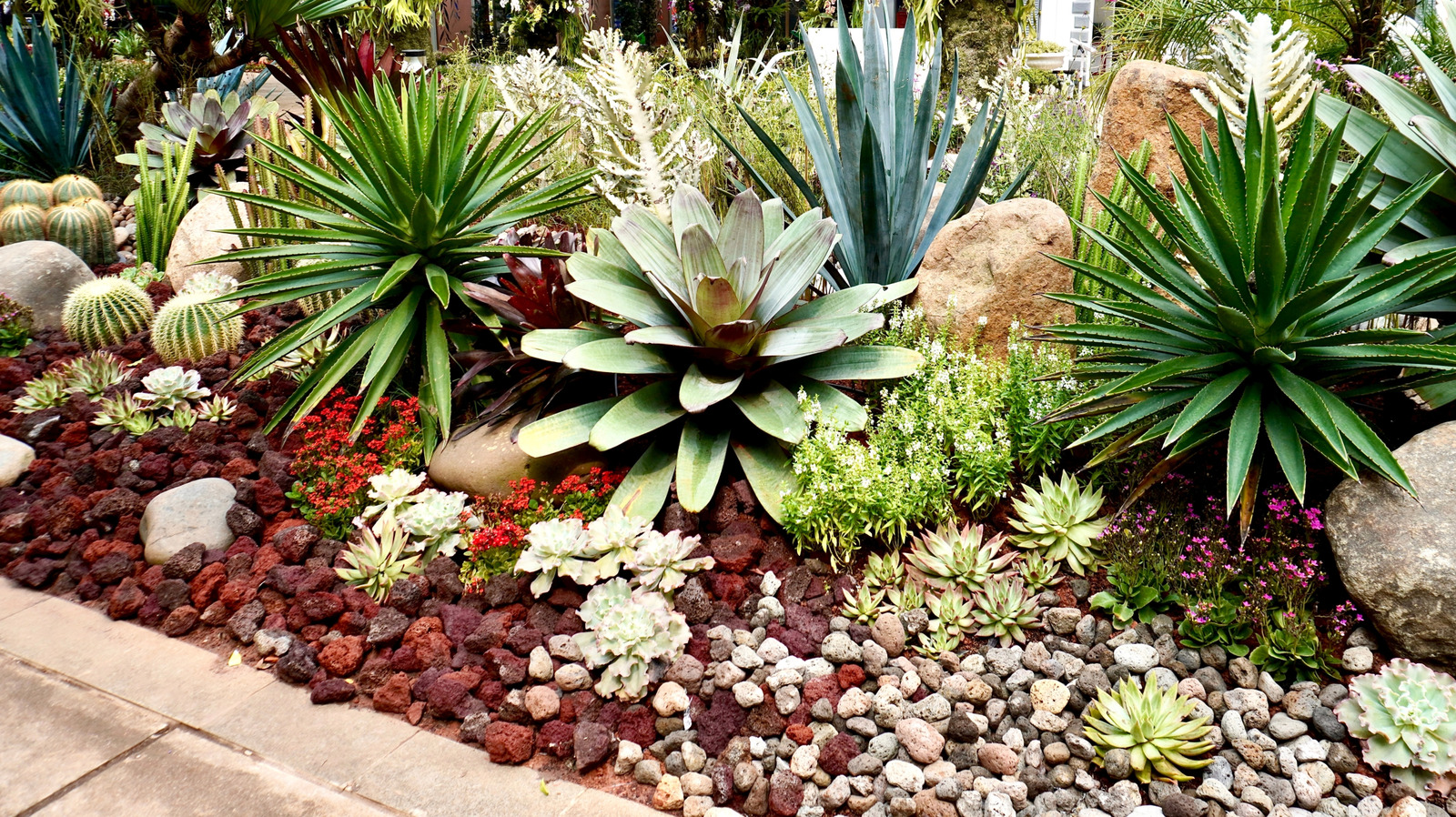 Bahçe tasarımınıza ilgi katacak benzersiz etli