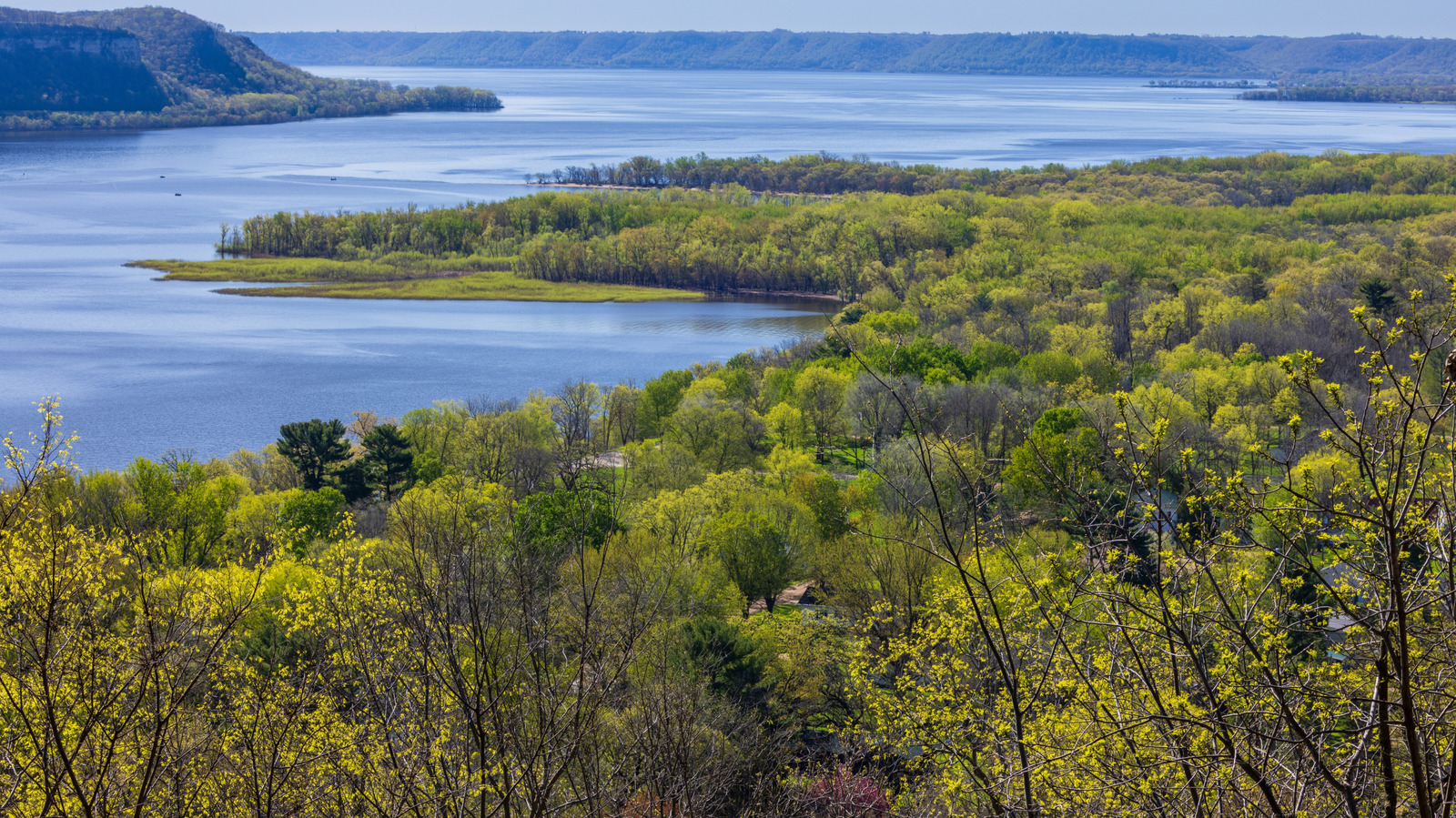 Sadece Mississippi Nehri'nin doğusunda bulacağınız tek türden sinek kuşu