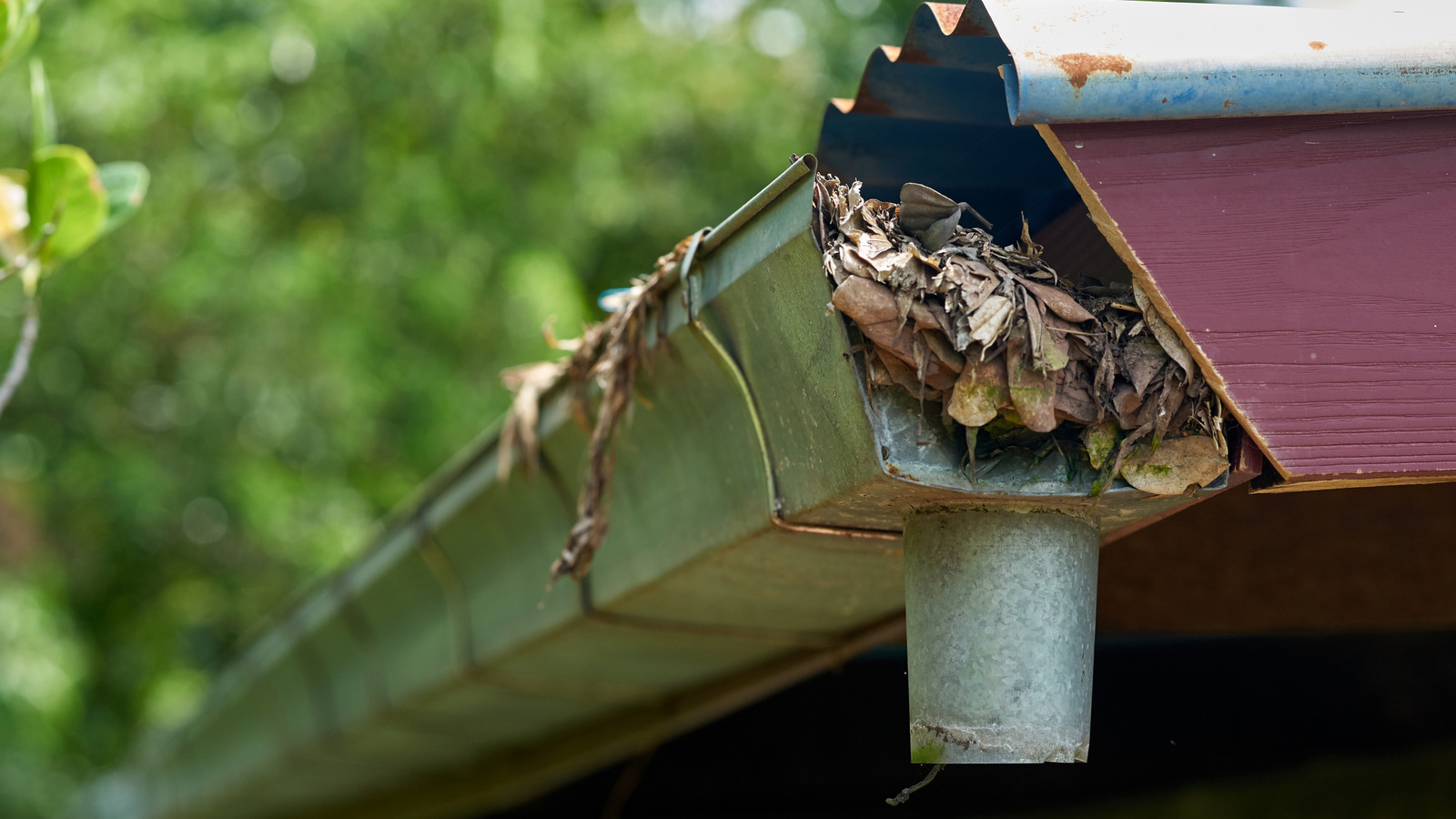 Kazalarınızı temizlemek için neden bahar mükemmel bir zaman