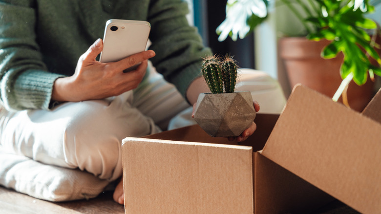 Bir karton kutudan küçük bir kaktüs açan bir kadın.