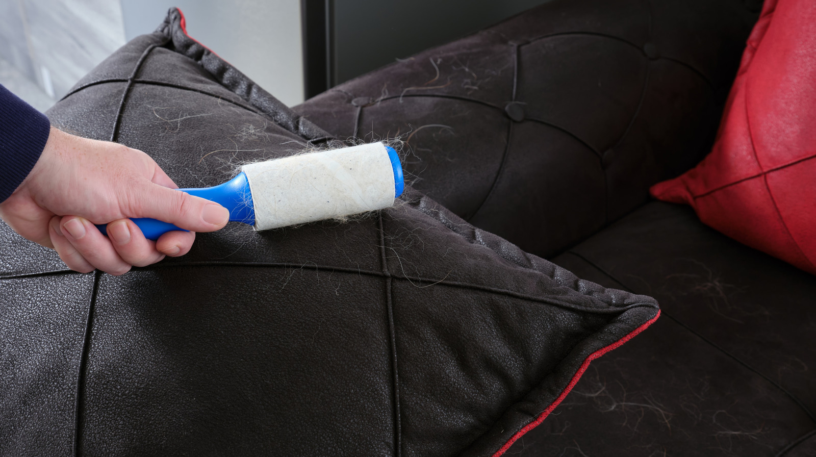 Costco Lint Silindirlerinin ne kadar sürmesini bekleyebilirsiniz?