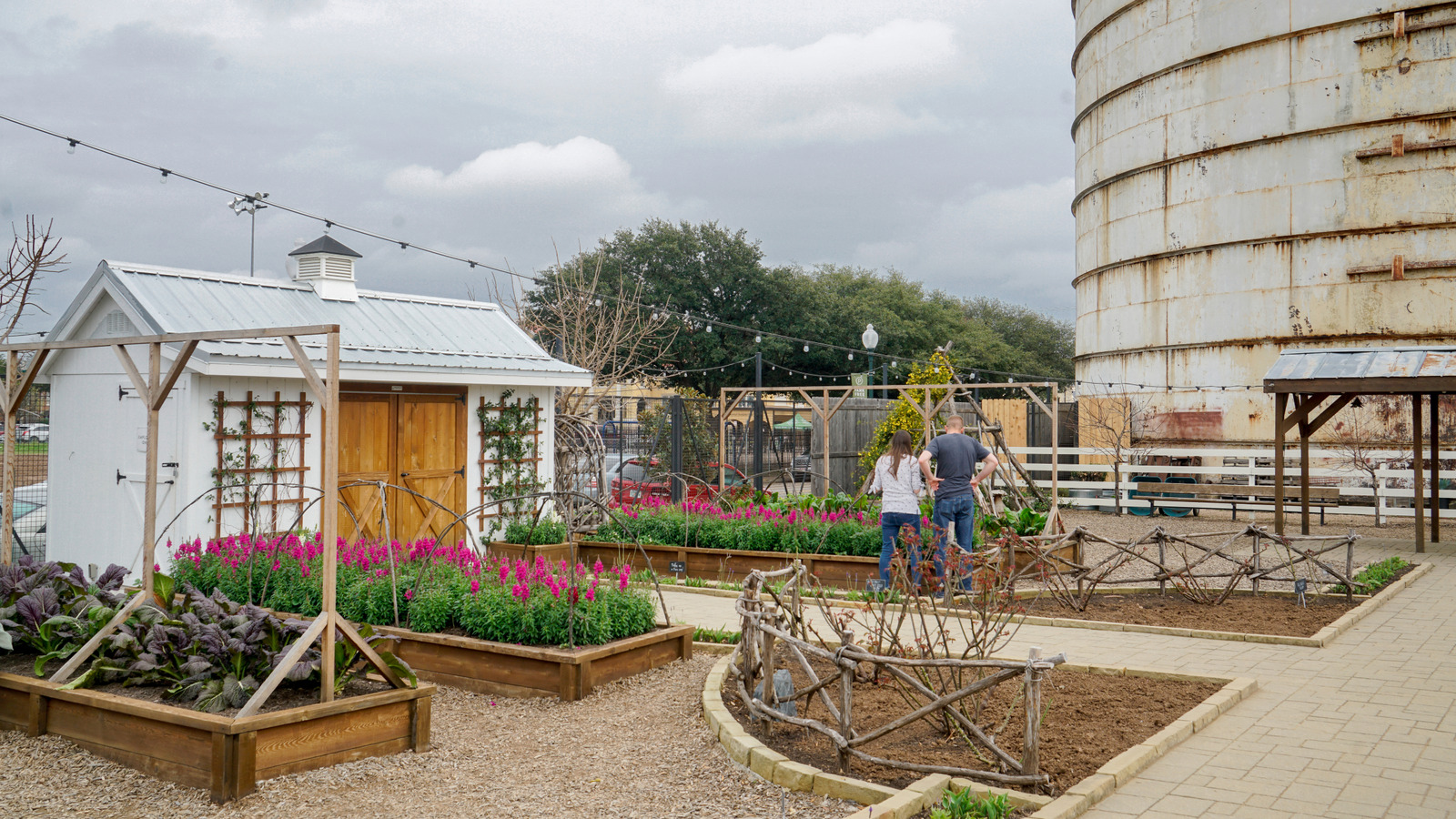 Joanna Gaines'in Bahçesi'ni Magnolia Market'in yeni tohum barı ile getirin