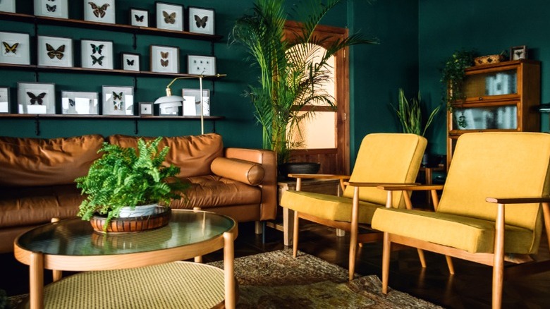 Odun aksan sandalyeleri ve kahverengi deri kanepenin yanındaki yuvarlak sehpa üzerinde saksı yeşillikleri