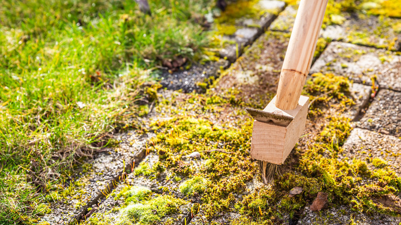Taş döşemelerden yosun ve yosun kazıyan bir fırça fırçası