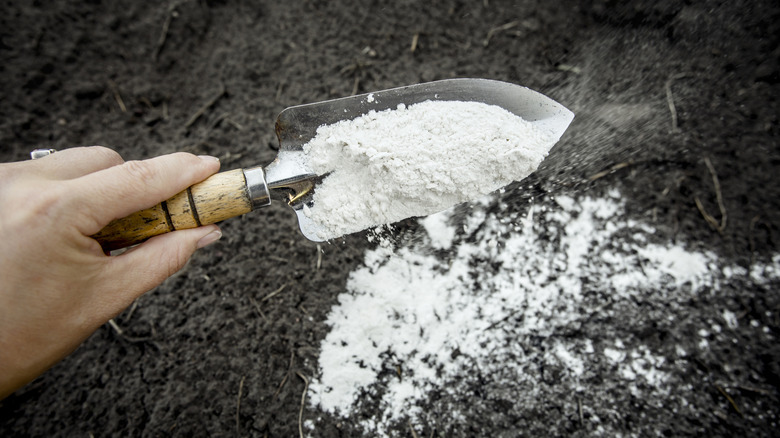 Bir mal tutan bir el, beyaz tozu toprağa serpiştirir