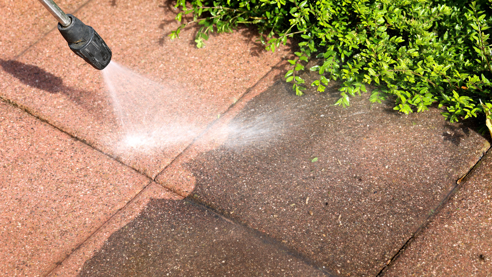 Aldi'nin uygun fiyatlı baskı yıkayıcısı nihai pazarlık mı? İşte bildiğimiz her şey