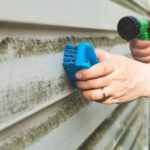 Bir çamaşır odası elyafı ile vinil siding üzerinde yosun ve küf ile mücadele