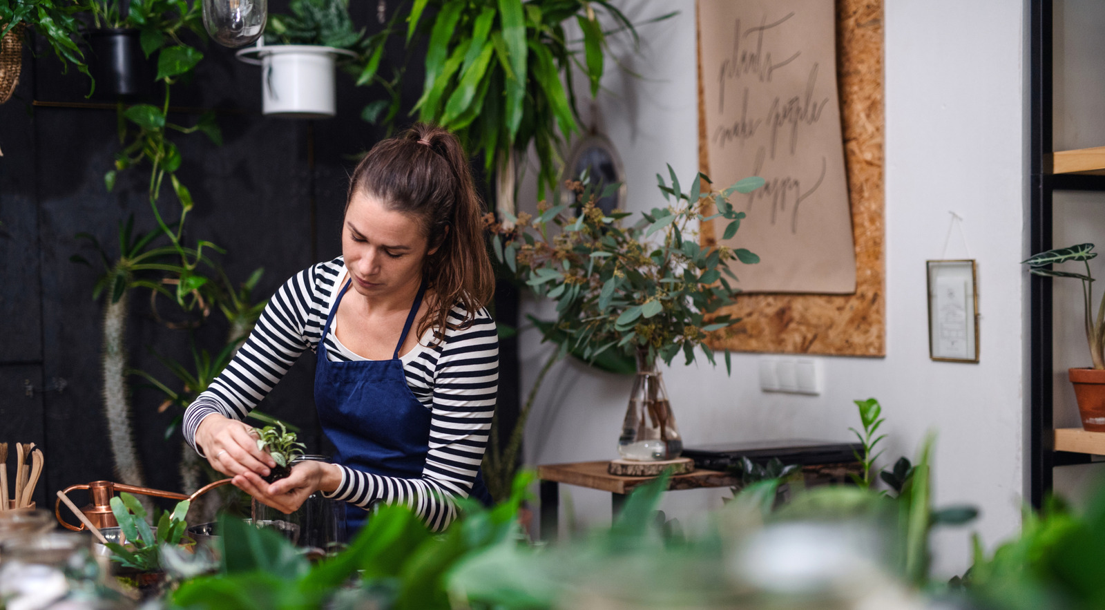 Temel bir IKEA dolabını eviniz için çarpıcı bir teraryum haline getirin