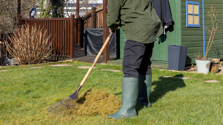Arka bahçesinde çim kıran bir kadın