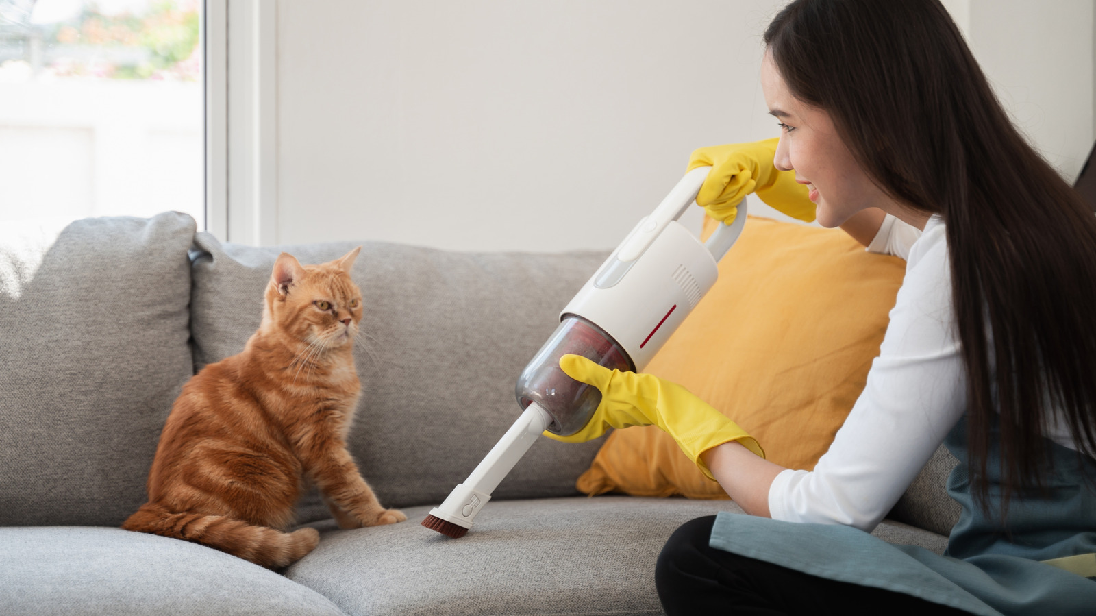 Tüylü arkadaşınızın karmaşasını ele almak için gerçekten bir evcil hayvan vakumuna mı ihtiyacınız var?