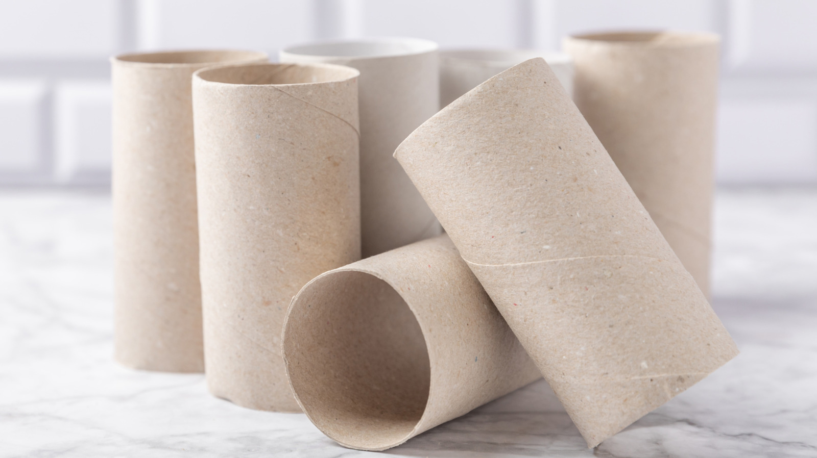 Boş bir tuvalet kağıdı rulosu alın ve hangi mutfak mücevherinin büyüyebileceğini izleyin