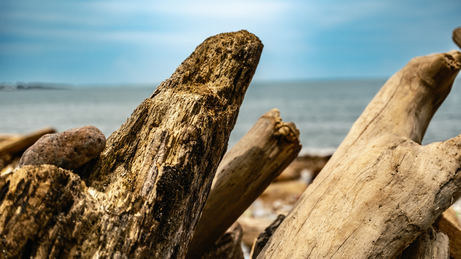 Naturecore estetiğini tırmanma dalgalanma odunu raf dekoru ile kucaklayın