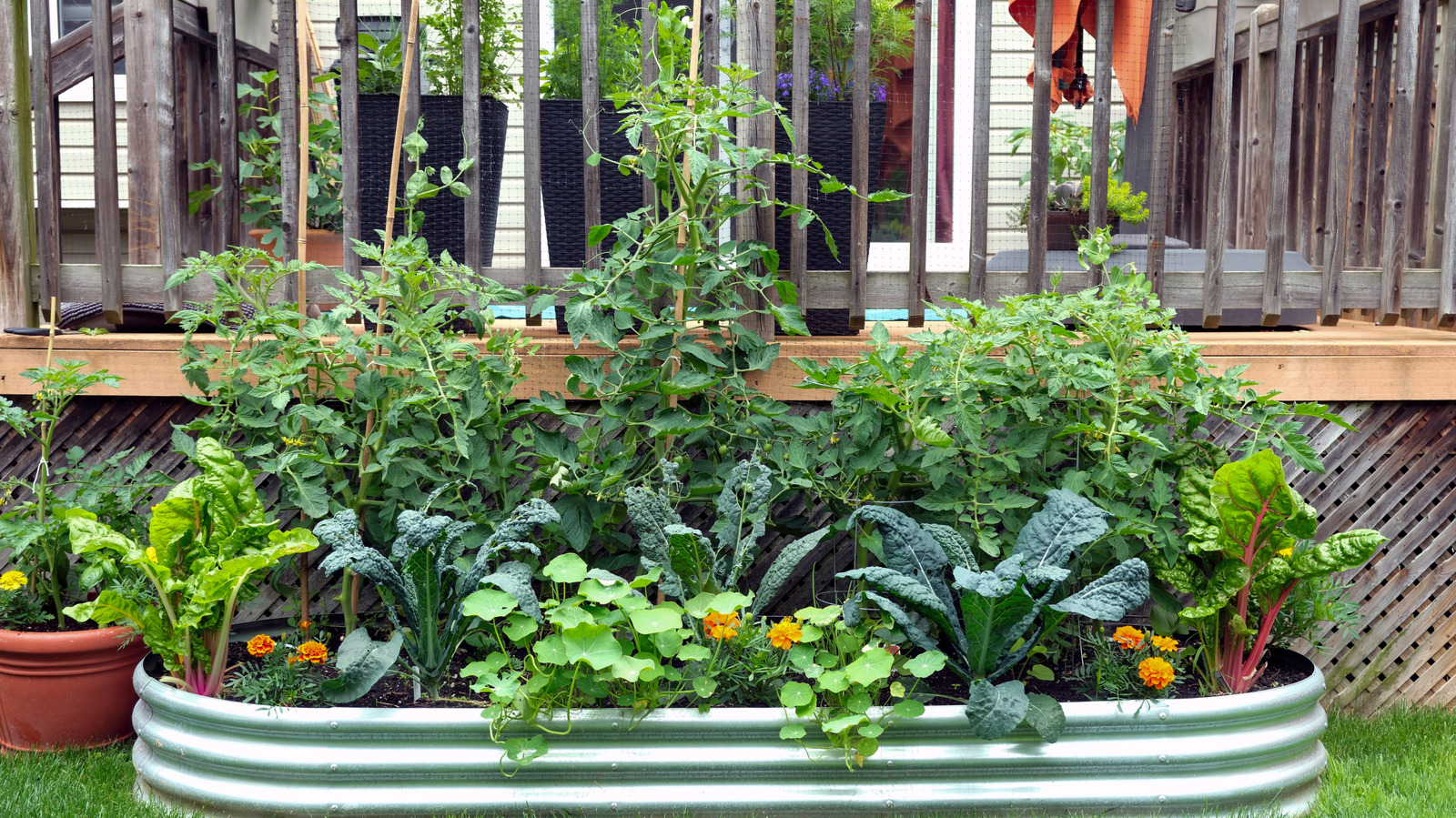 Konteyner bahçenize tasarımcı bir görünüm vermenin kolay ve uygun fiyatlı yolu