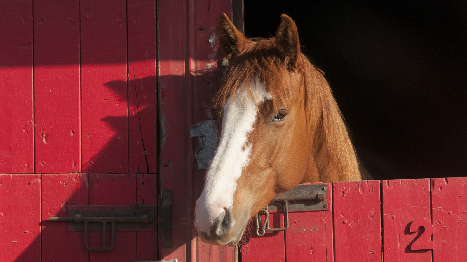 At kibir mükemmel sıvalı duvarların sırrı mı? Tarihi uygulamanın arkasındaki gerçek