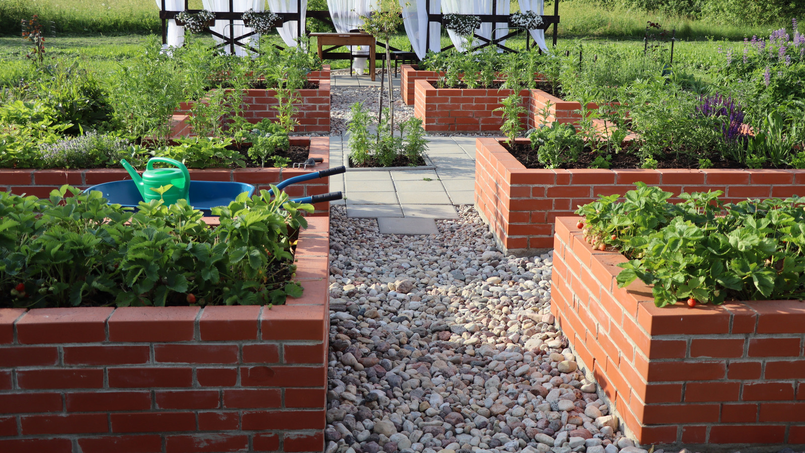 Bu 12 bitkiyi yükseltilmiş bahçe yataklarında büyütmekten kaçının