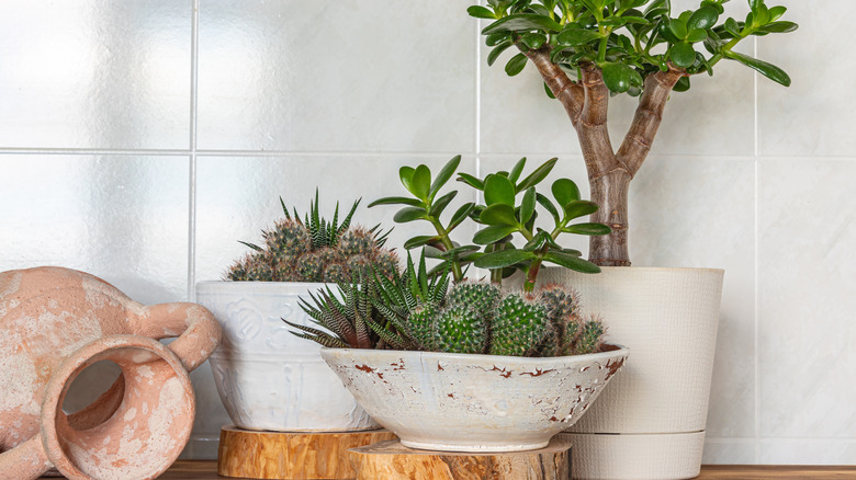 Farklı boyutlarda etli tencere üçlüsü, beyaz bir karo duvarına karşı uyumlu görünüyor.