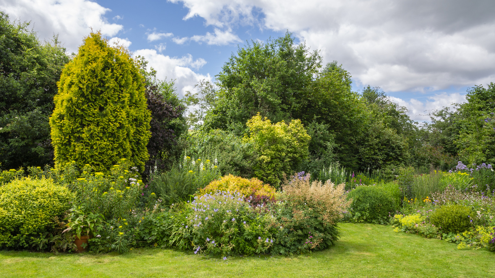 Ada Bahçe Yatakları Herhangi bir arka bahçe alanına anında cazibe ve derinlik katar