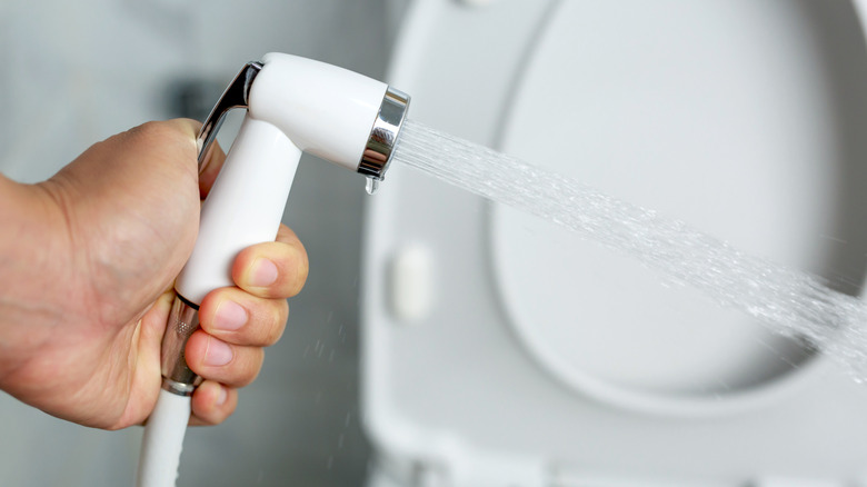 Bir kişi tuvaletin önüne elle taşınan bir bide püskürtücü püskürtüyor
