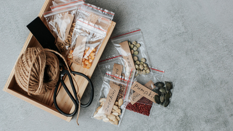 Küçük bir ahşap kutu, etiketli tohumlara sahip bazı sicim ve plastik tohum paketlerine sahiptir.